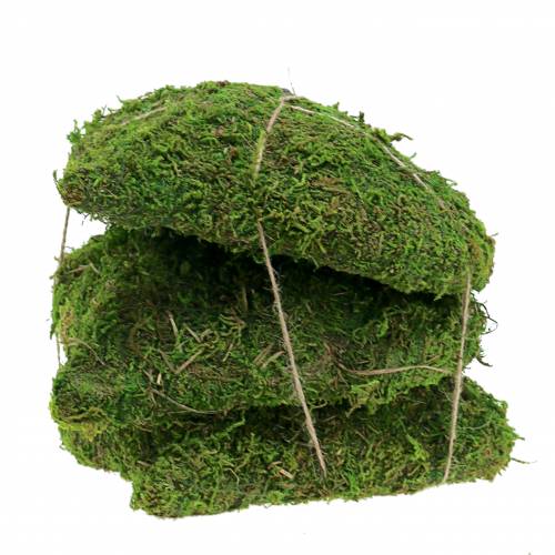 Floristik24 Musgo corazón verde 20cm 3pcs