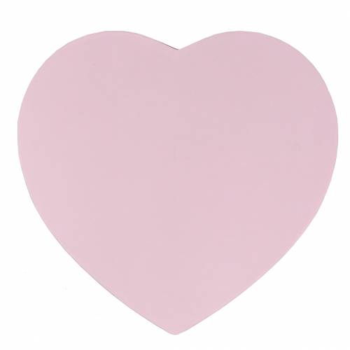 Floristik24 Caja de flores corazón rosa Ø18/20cm juego de 2