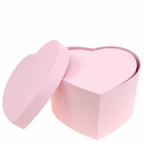 Floristik24 Caja de flores corazón rosa Ø18/20cm juego de 2