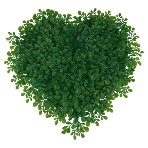 Floristik24 Alfombra decorativa artificial de boj con forma de corazón verde 30,5 cm