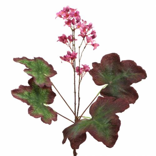 Floristik24 Purple Bells Heuchera Deco Rama Rosa 44cm