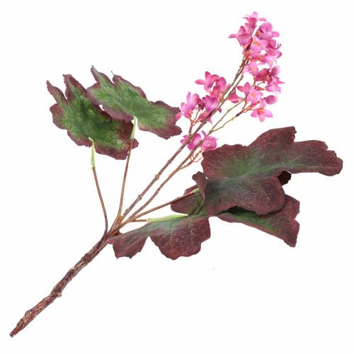 Floristik24 Purple Bells Heuchera Deco Rama Rosa 44cm