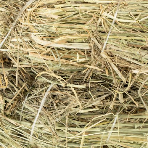 Artículo Coronas de heno de 31-32 cm, 5 unidades