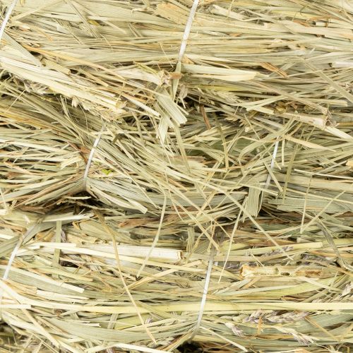 Artículo Corona de heno natural 21-22cm 5uds