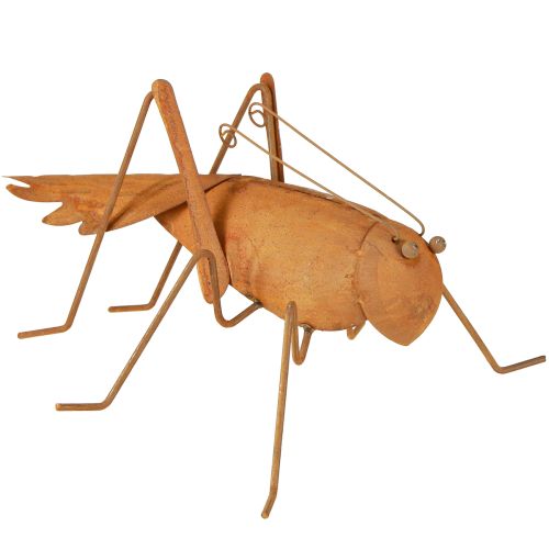 Floristik24 Saltamontes para decoración de jardín, metal oxidado, para colocar de pie, 26 cm
