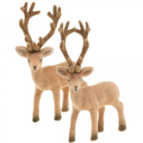 Floristik24 Ciervo decorativo figura decorativa reno decorativo flocado H17cm 6 piezas