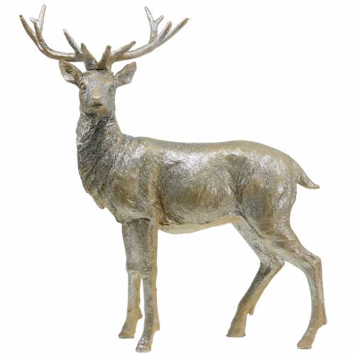 Floristik24 Brillo champán ciervo deco 44cm