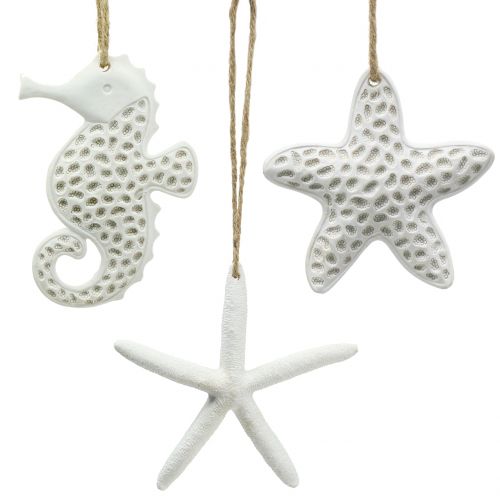 Decoración para colgar starfish, seahorse 12cm 3pcs