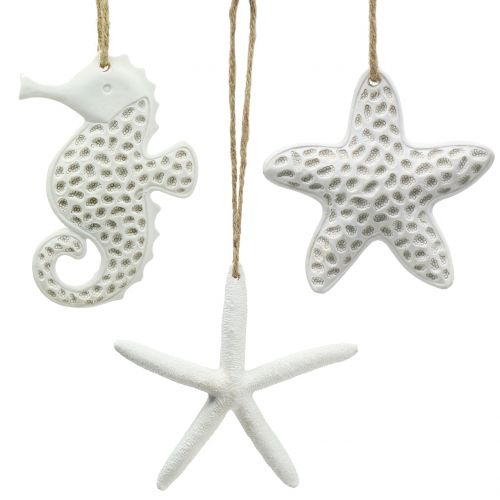 Floristik24 Decoración para colgar starfish, seahorse 12cm 3pcs