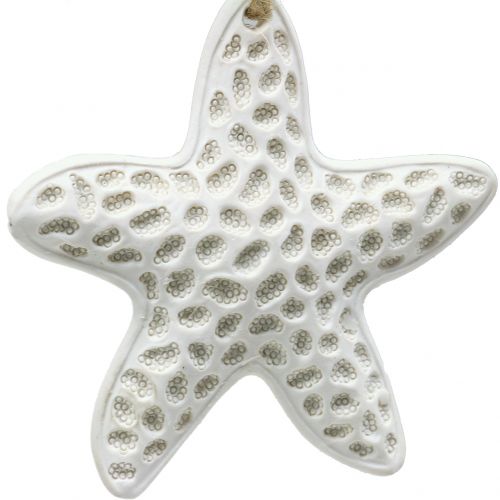 Floristik24 Decoración para colgar starfish, seahorse 12cm 3pcs