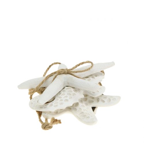 Floristik24 Decoración para colgar starfish, seahorse 12cm 3pcs