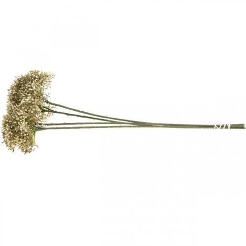 Floristik24 Rama de flor decorativa blanca crema de saúco artificial 52cm 4pcs