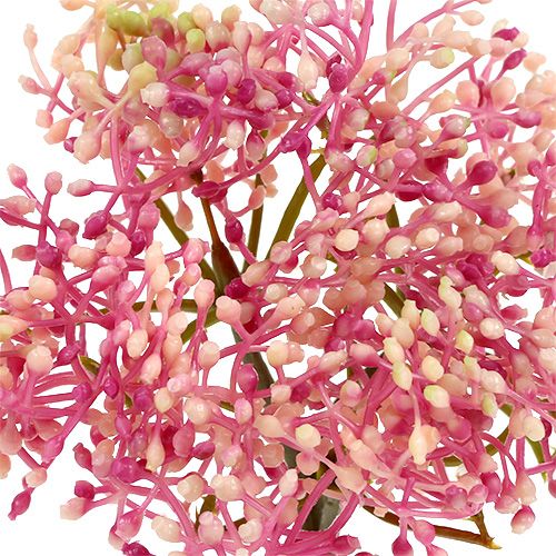 Floristik24 Rama de flor de saúco Rosa-Blanco L 55cm 4pcs