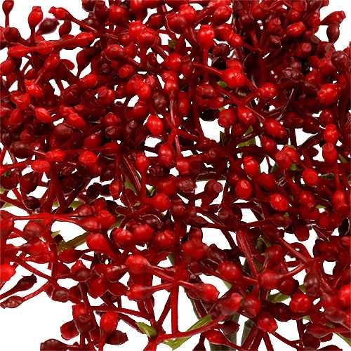 Floristik24 Rama de flor de saúco roja 55cm 4pcs