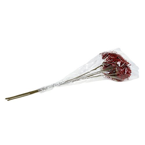 Floristik24 Rama de flor de saúco roja 55cm 4pcs