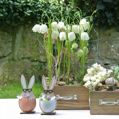 Artículo Conejo de madera en un huevo, decoración de primavera, conejos con gafas, conejitos de Pascua 3 piezas