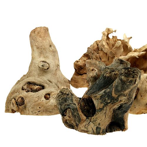 Floristik24 Wood Roots Nature 8cm - 10cm 500g