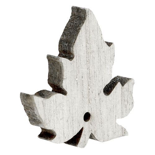 Floristik24 Mezcla de hojas de arce de madera blanqueada 30pcs
