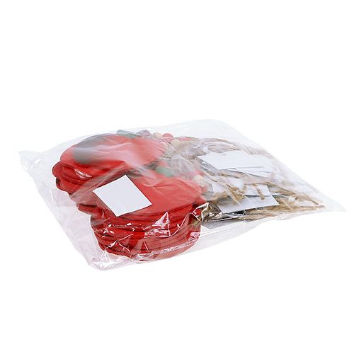 Floristik24 Manzana de cangrejo para colgar 7cm rojo 24pcs
