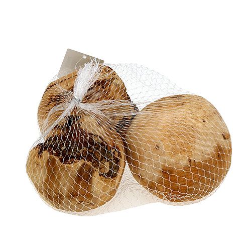 Floristik24 Bola de madera bola de abeto natural Ø9cm 3 piezas
