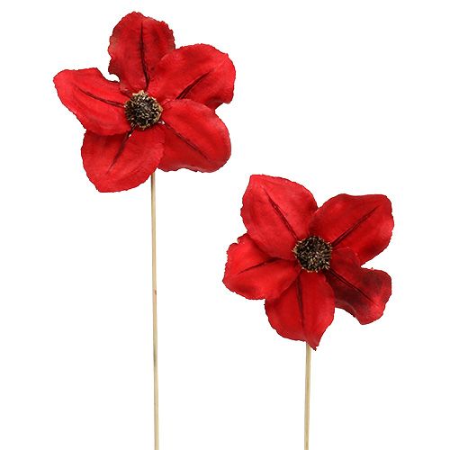 Floristik24 Flor de madera como tapón rojo Ø9cm - 12cm L45cm 15 piezas