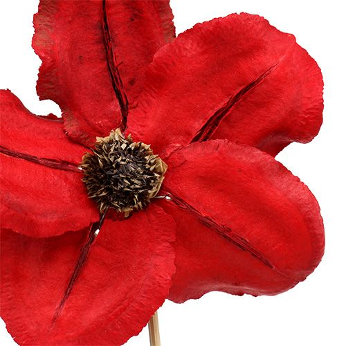 Artículo Flor de madera como tapón rojo Ø9cm - 12cm L45cm 15ud