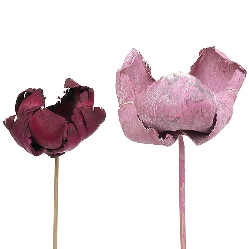 Artículo Flor de madera, copa de palma mix rosa-erika 25uds