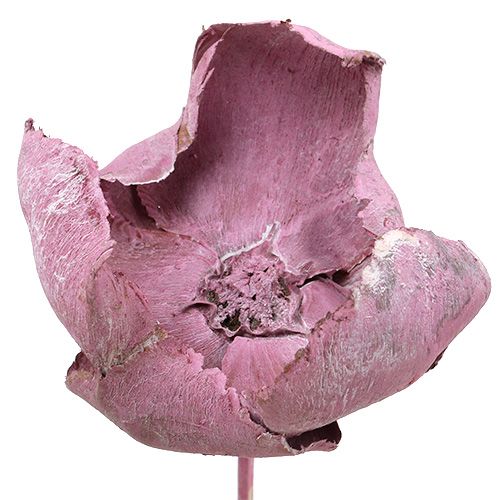 Artículo Flor de madera, copa de palma mix rosa-erika 25uds