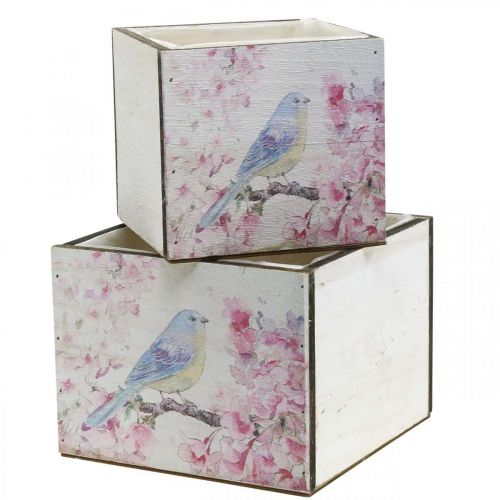 Floristik24 Jardineras con estampado de pájaros, jardinera, primavera, caja decorativa para plantar, aspecto vintage L17/15cm H13/11cm juego de 2