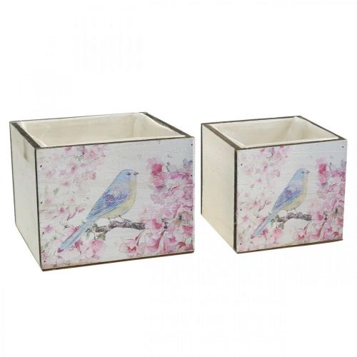 Floristik24 Jardineras con estampado de pájaros, jardinera, primavera, caja decorativa para plantar, aspecto vintage L17/15cm H13/11cm juego de 2