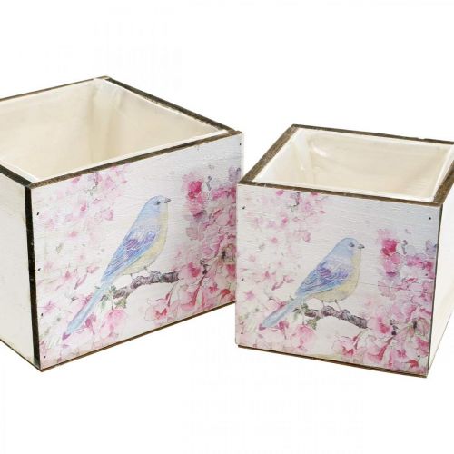 Floristik24 Jardineras con estampado de pájaros, jardinera, primavera, caja decorativa para plantar, aspecto vintage L17/15cm H13/11cm juego de 2
