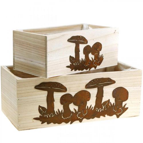 Juego de maceteros, cajas de madera con setas, decoración otoñal, acero inoxidable L40 / 30cm, juego de 2