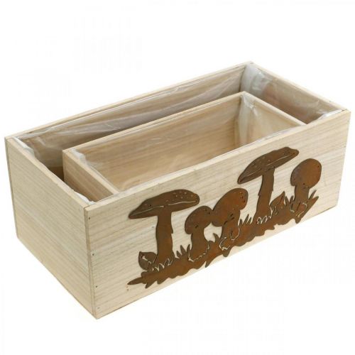 Artículo Juego de maceteros, cajas de madera con setas, decoración otoñal, acero inoxidable L40 / 30cm, juego de 2