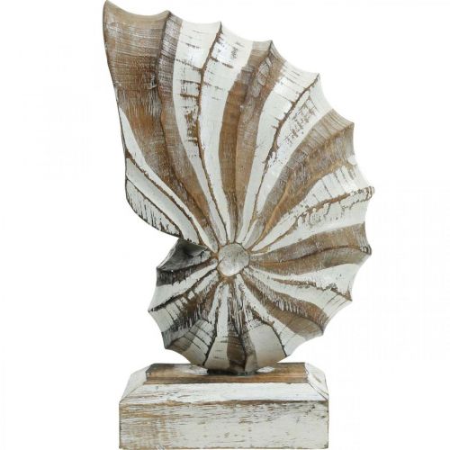 Floristik24 Soporte de caracola de madera deco marítimo natural, blanco Al. 28 cm