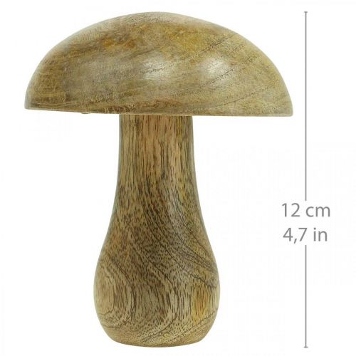 Floristik24 Hongo de madera natural, amarillo otoño deco hongos de madera 12×10cm