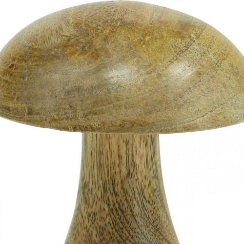 Floristik24 Hongo de madera natural, amarillo otoño deco hongos de madera 12×10cm