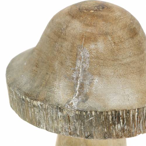 Floristik24 Hongo de madera natural / blanco H10cm