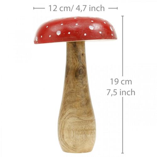 Floristik24 Amanita muscaria madera deco seta otoño Ø12cm H19cm