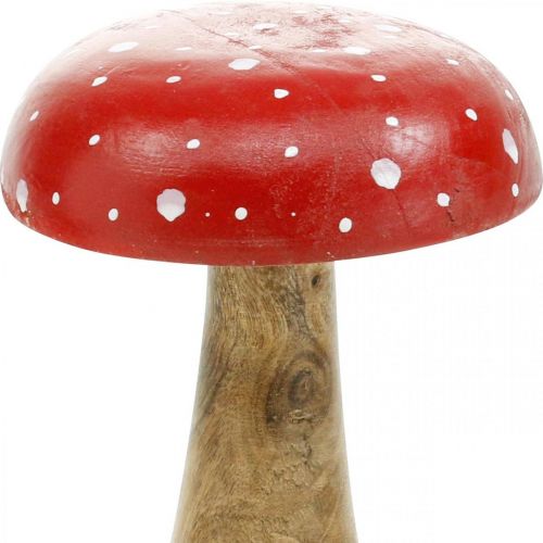 Floristik24 Amanita muscaria madera deco seta otoño Ø12cm H19cm
