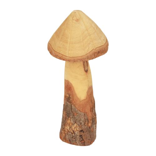 Floristik24 Setas de madera decoración setas decoración de madera decoración de mesa natural otoño Ø11cm H28cm
