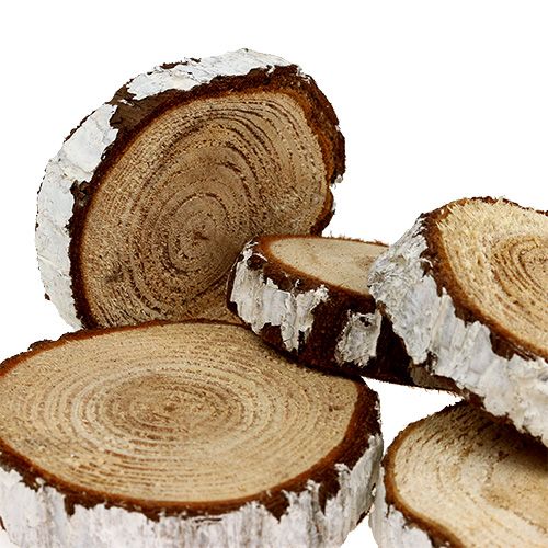 Floristik24 Rodajas de madera abeto óptica 3-7,5cm 500g