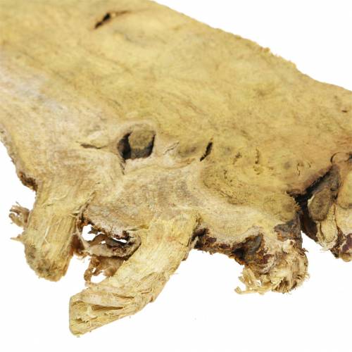 Floristik24 Deco discos de madera naturaleza 1kg