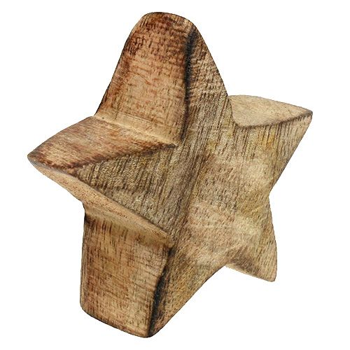 Floristik24 Madera estrella estrella 5cm - 6cm en caja 12pcs