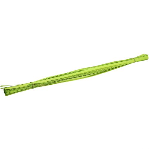 Floristik24 Listones de madera verde primavera 95cm - 100cm 50 uds.
