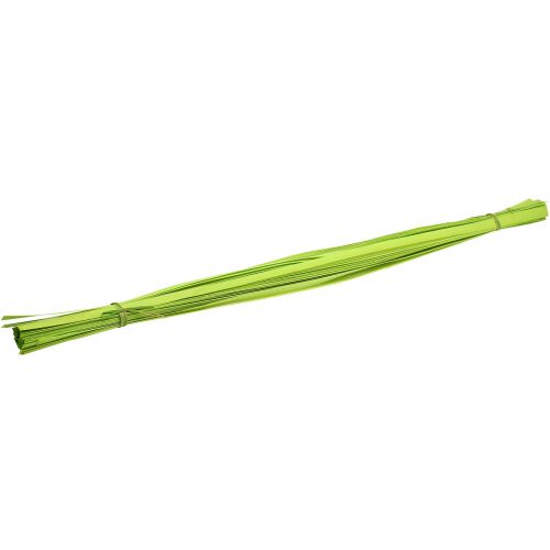 Floristik24 Listones de madera primavera verde 95cm - 100cm 50pcs