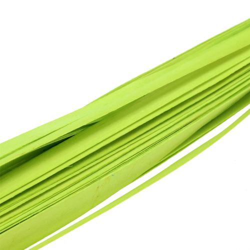 Floristik24 Listones de madera verde primavera 95cm - 100cm 50 uds.