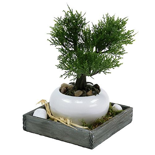 Artículo Bandeja de madera gris 14cm x 14cm x 3cm