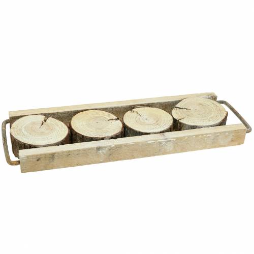 Floristik24 Bandeja decorativa de madera con rodajas de árboles 34cm x 12cm H3cm