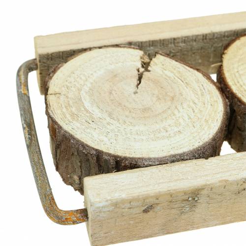 Floristik24 Bandeja decorativa de madera con rodajas de árboles 34cm x 12cm H3cm
