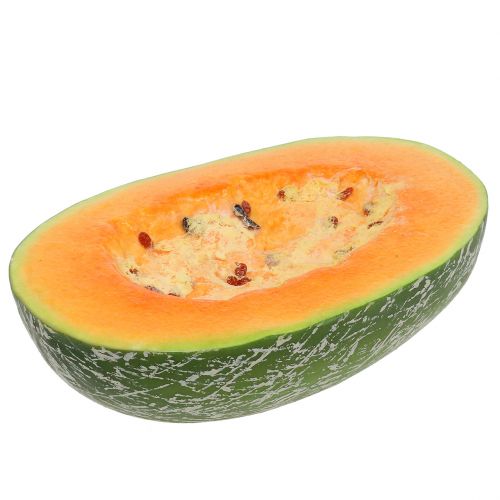 Floristik24 Melón dulce medio 22.5cm naranja claro